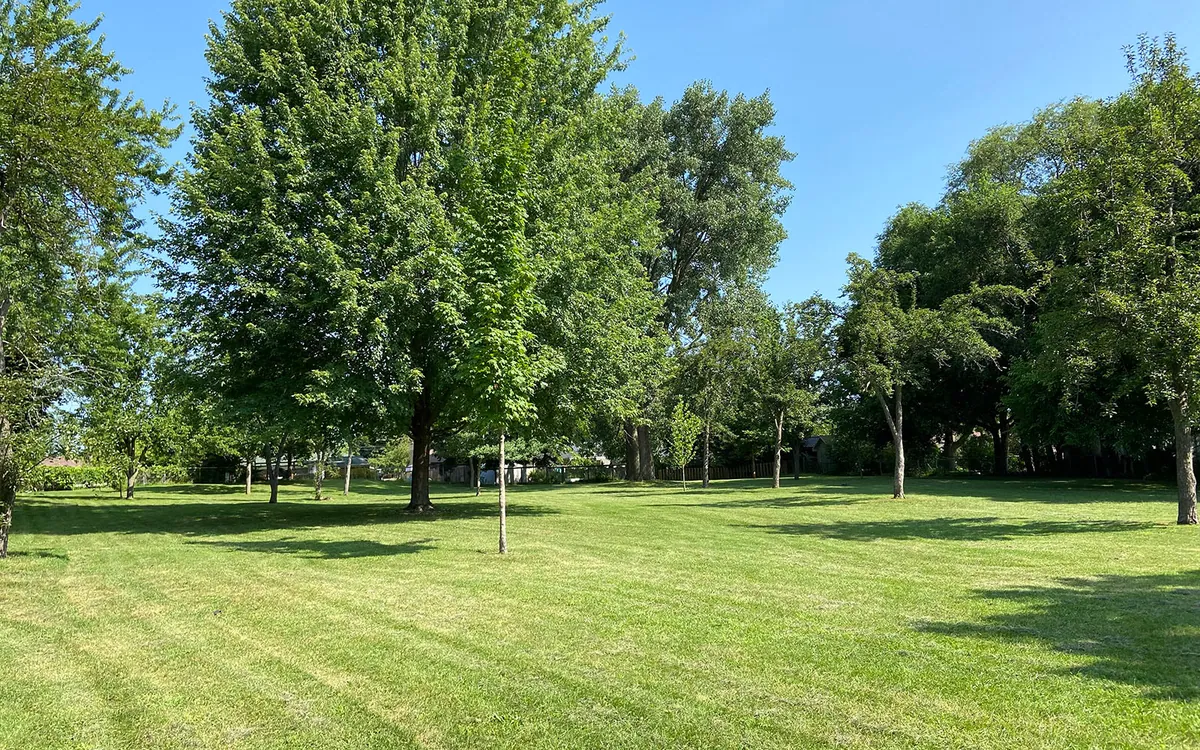 Carolina Park in Brantford, Ontario