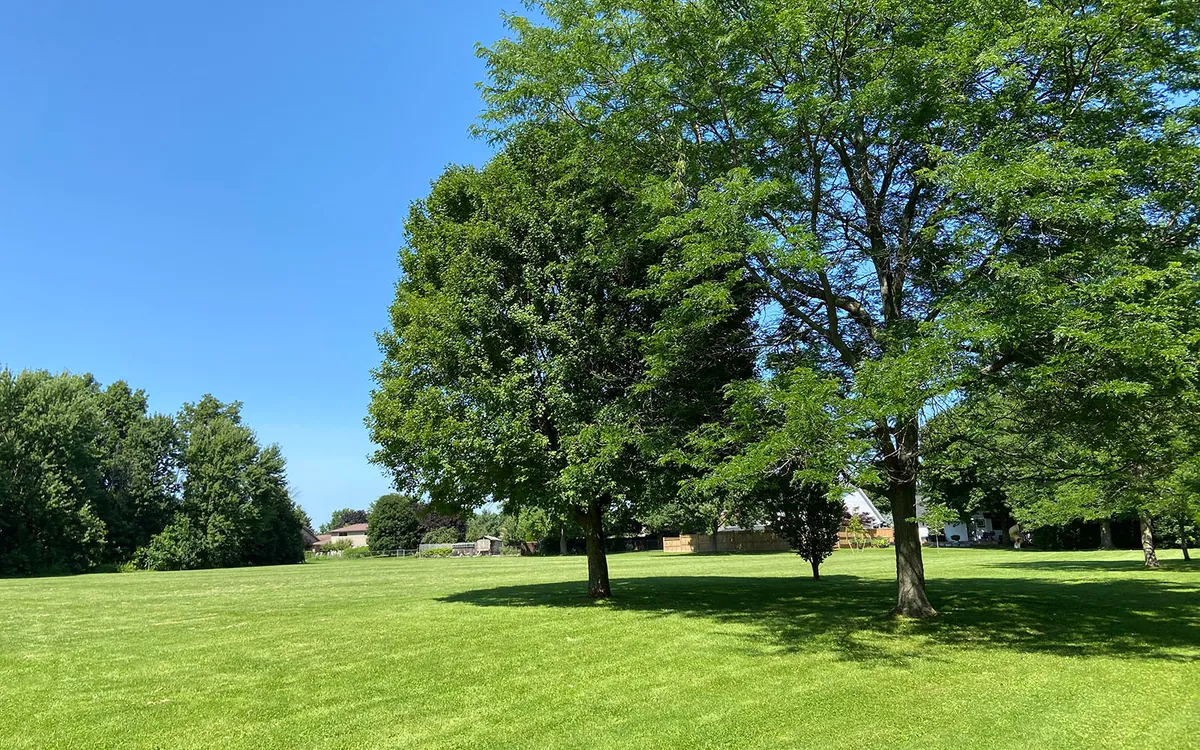 Forestwood Park in Brantford, Ontario