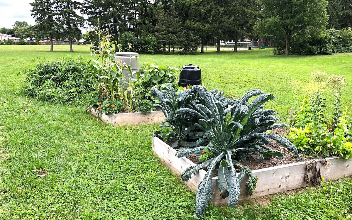 Spring Gardens Park in Brantford, Ontario
